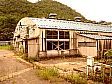 a0034453_04794.jpg