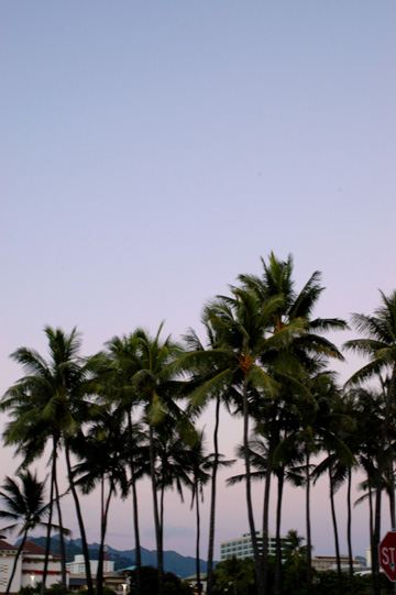 f0089353_15132784.jpg