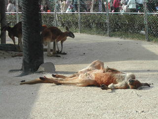 c0032256_2129420.jpg