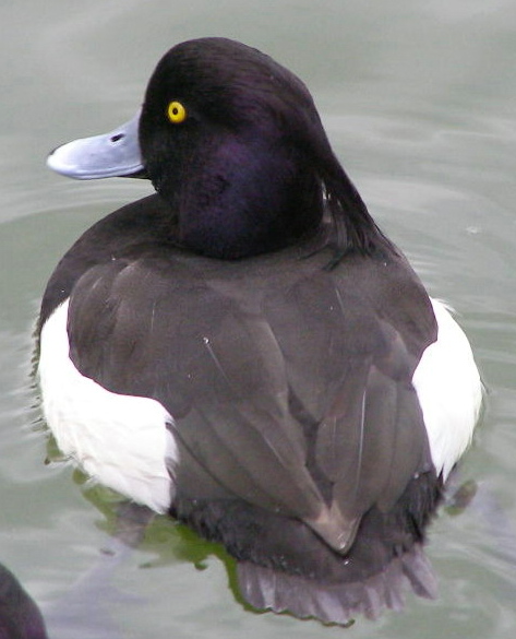 e0064158_1104922.jpg