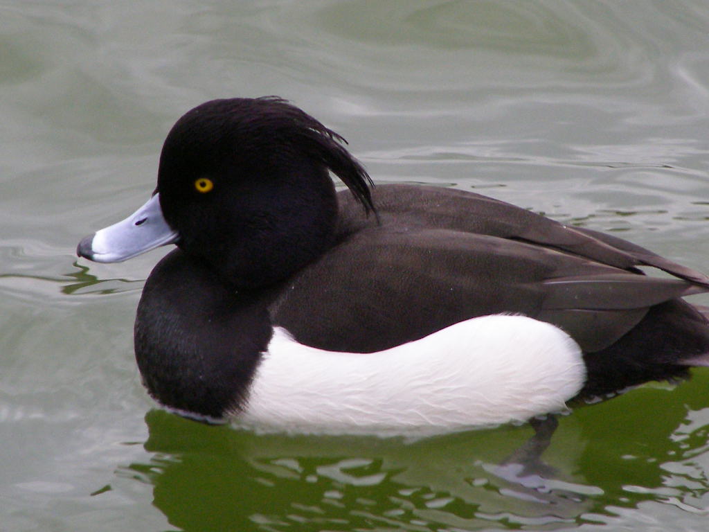 e0064158_110527.jpg