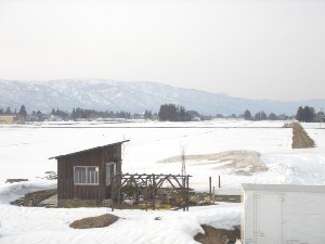d0024864_18412845.jpg