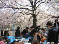 f0025769_19171923.jpg