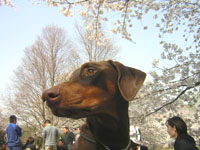 f0025769_19214881.jpg