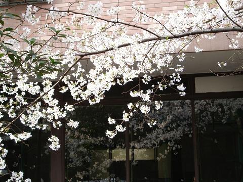 c0053571_23493819.jpg