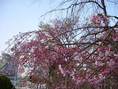 c0053571_23495510.jpg
