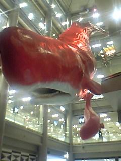 d0046673_254179.jpg