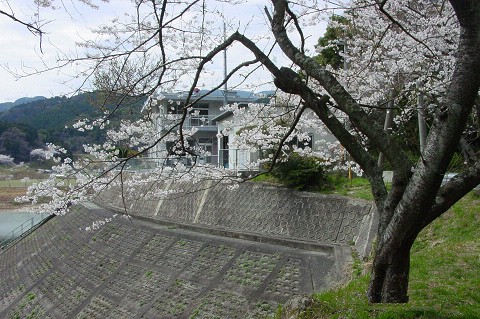f0003174_21573196.jpg