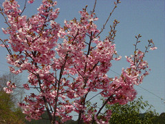 f0003174_21593030.jpg
