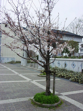 f0003174_22202476.jpg