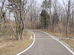 f0001378_1851068.jpg