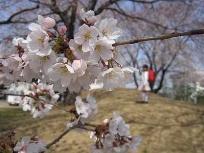 a0038882_2161240.jpg