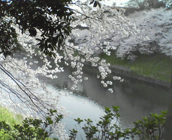 e0020882_23205912.jpg