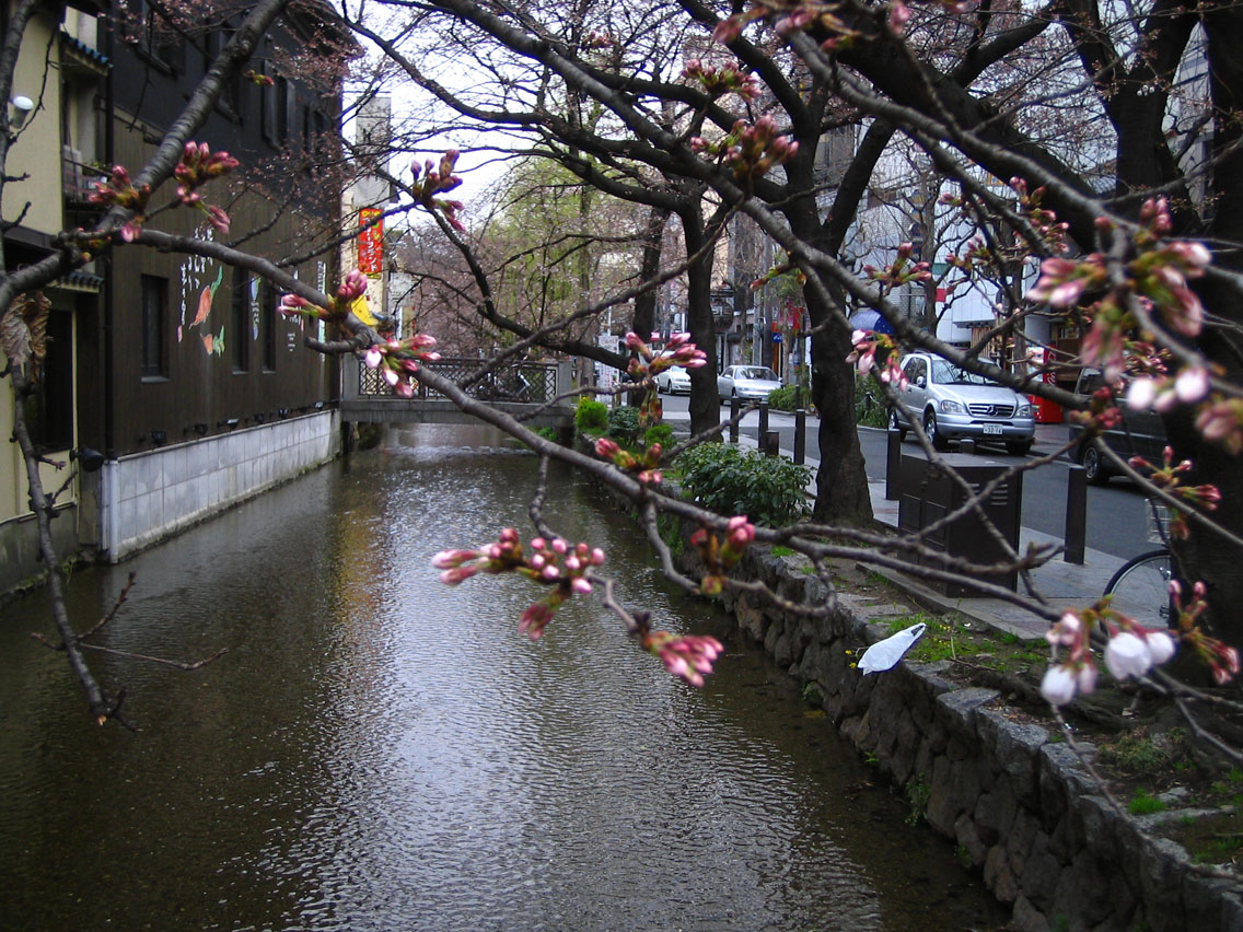 f0078493_11381213.jpg