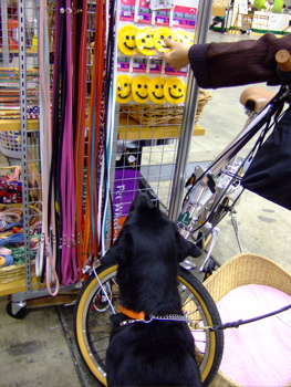 f0001698_459471.jpg