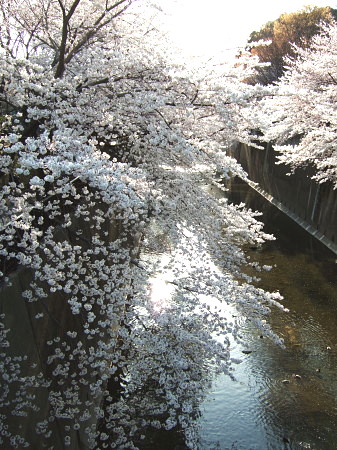 c0044199_22113022.jpg