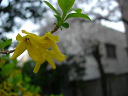 a0030205_3352843.jpg