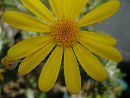 a0030205_339915.jpg