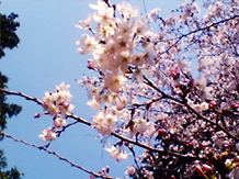 c0055305_22493656.jpg