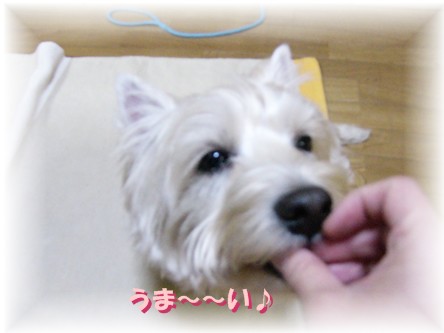 f0039907_23521429.jpg