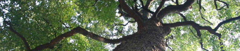 c0011009_3562959.jpg