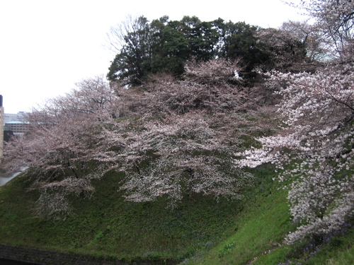 b0046210_23533519.jpg