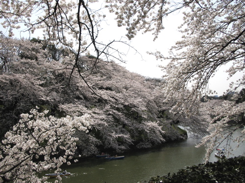 b0046210_23582269.jpg