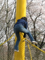 c0004211_13211249.jpg