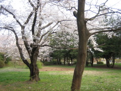 c0004211_13481217.jpg