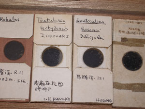 a0019212_0265056.jpg