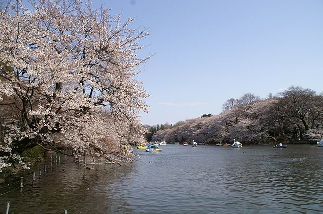 f0014815_1127691.jpg
