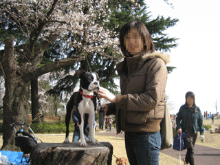 e0080117_1032631.gif