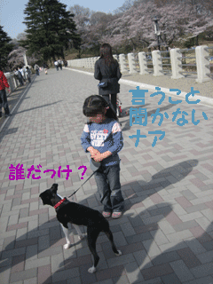 e0080117_11145676.gif