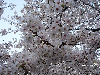 d0023323_0185155.jpg