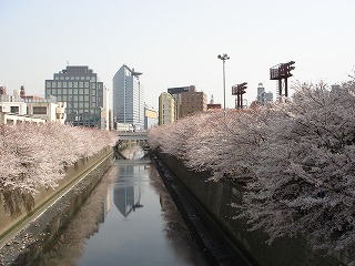 d0023323_0203332.jpg