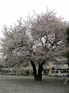 f0106823_17181524.jpg