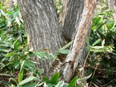 e0054231_1802182.jpg