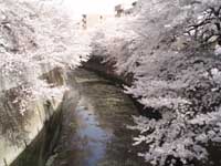 f0092031_153238100.jpg