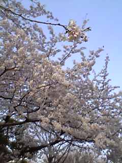 b0053433_0204523.jpg