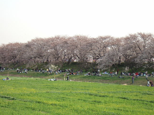 e0064133_23405242.jpg