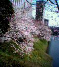 b0039840_20374627.jpg