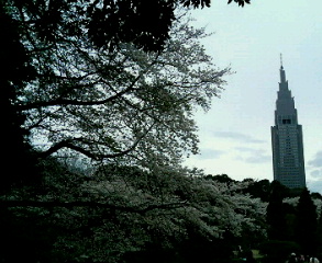 c0025840_21263279.jpg