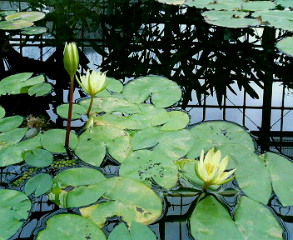 c0025840_21271198.jpg