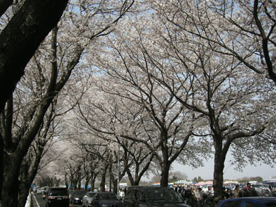 a0025141_22451017.jpg
