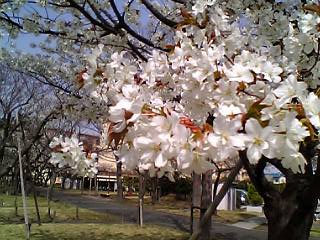 b0032346_13561056.jpg