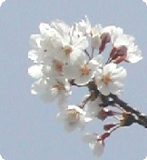 f0096147_22592114.jpg