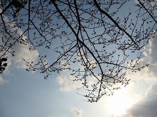 f0056250_2056502.jpg