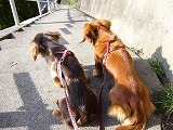 f0056250_21165781.jpg