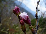f0056250_21215310.jpg