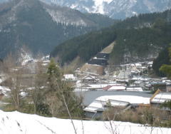 d0031853_3435384.jpg